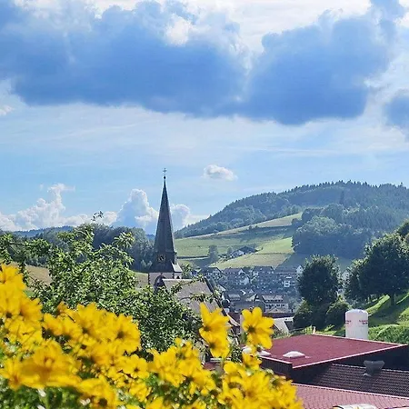 Am Kapellenberg - Am Rande Des Nationalparks Schwarzwald Apartment Bad Peterstal-Griesbach