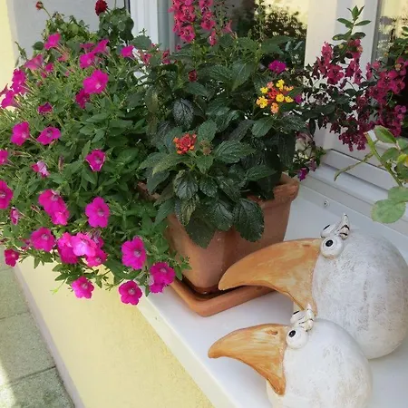 Apartment Am Kapellenberg - Am Rande Des Nationalparks Schwarzwald *