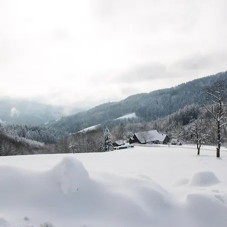 Am Kapellenberg - Am Rande Des Nationalparks Schwarzwald Bad Peterstal-Griesbach