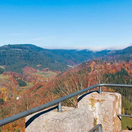 Apartment Am Kapellenberg - Am Rande Des Nationalparks Schwarzwald *