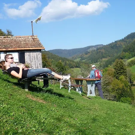 Am Kapellenberg - Am Rande Des Nationalparks Schwarzwald *