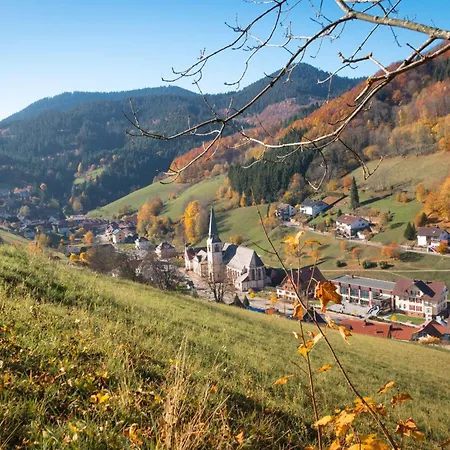 Apartment Am Kapellenberg - Am Rande Des Nationalparks Schwarzwald