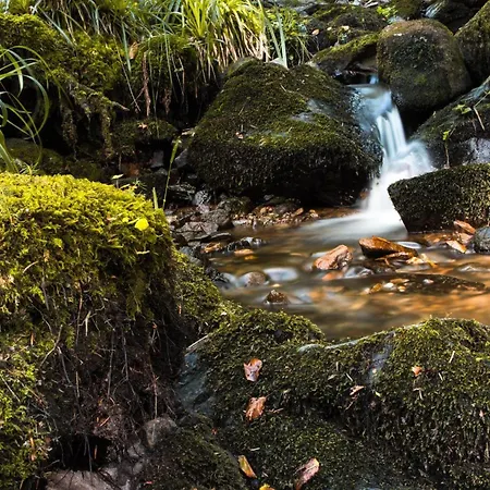 Am Kapellenberg - Am Rande Des Nationalparks Schwarzwald Apartment *
