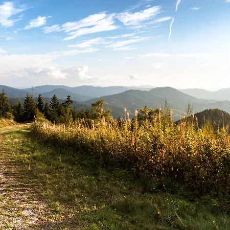 Apartment Am Kapellenberg - Am Rande Des Nationalparks Schwarzwald