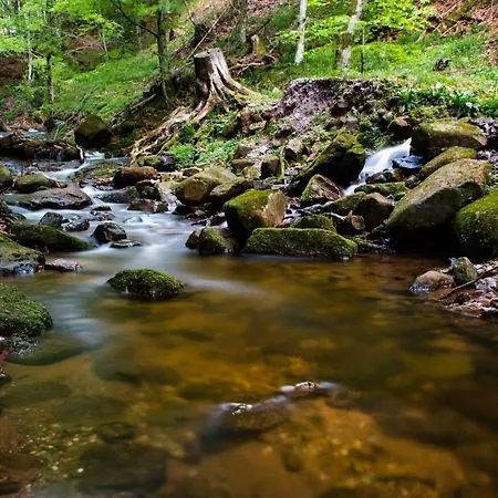 Am Kapellenberg - Am Rande Des Nationalparks Schwarzwald