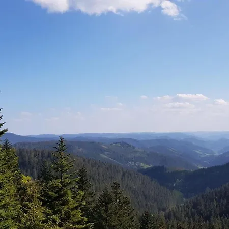 Am Kapellenberg - Am Rande Des Nationalparks Schwarzwald *